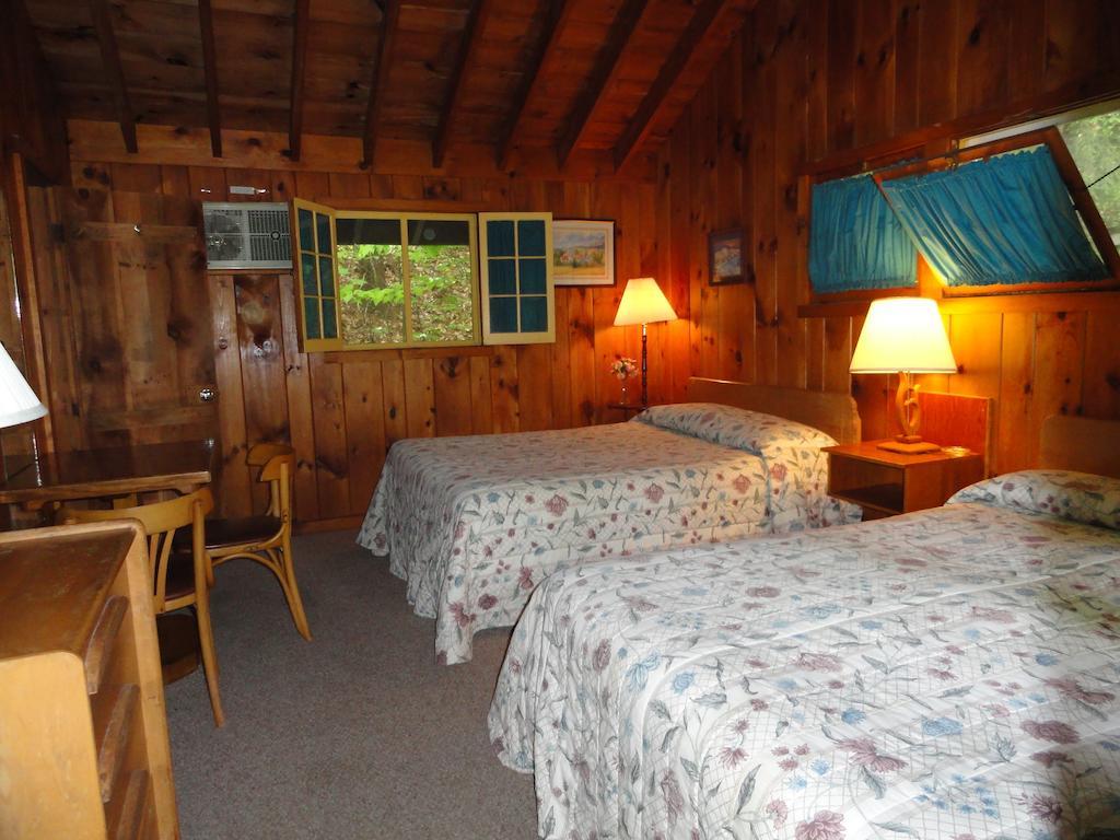 Amber Lantern Motel Озеро Джордж Номер фото